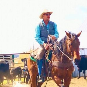 Meet your Posher, Bernard